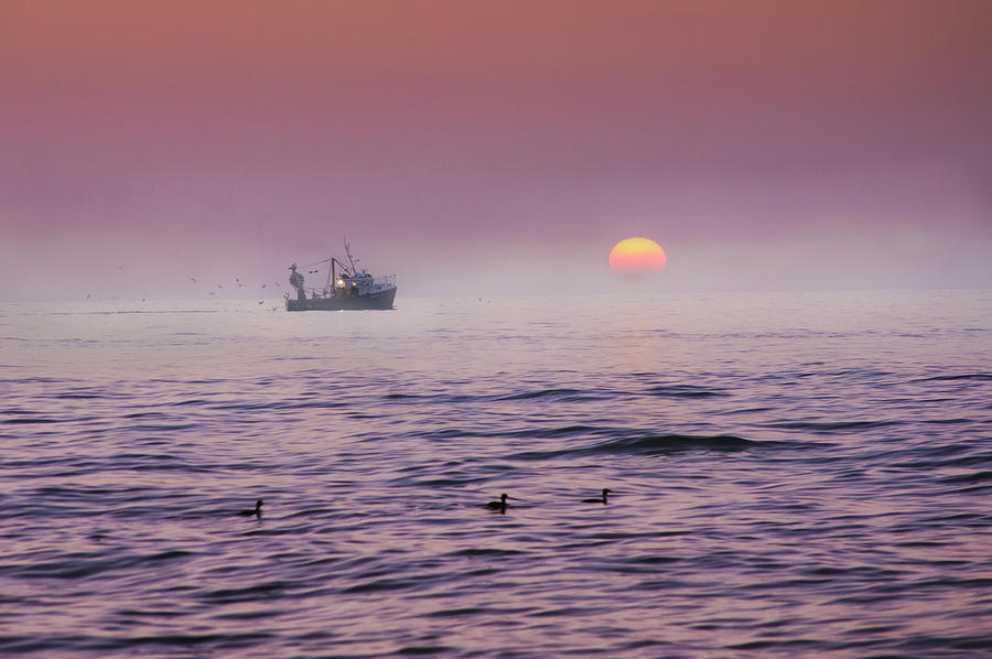 Sunset Photograph - Early Morning Catch by Adrian Campfield