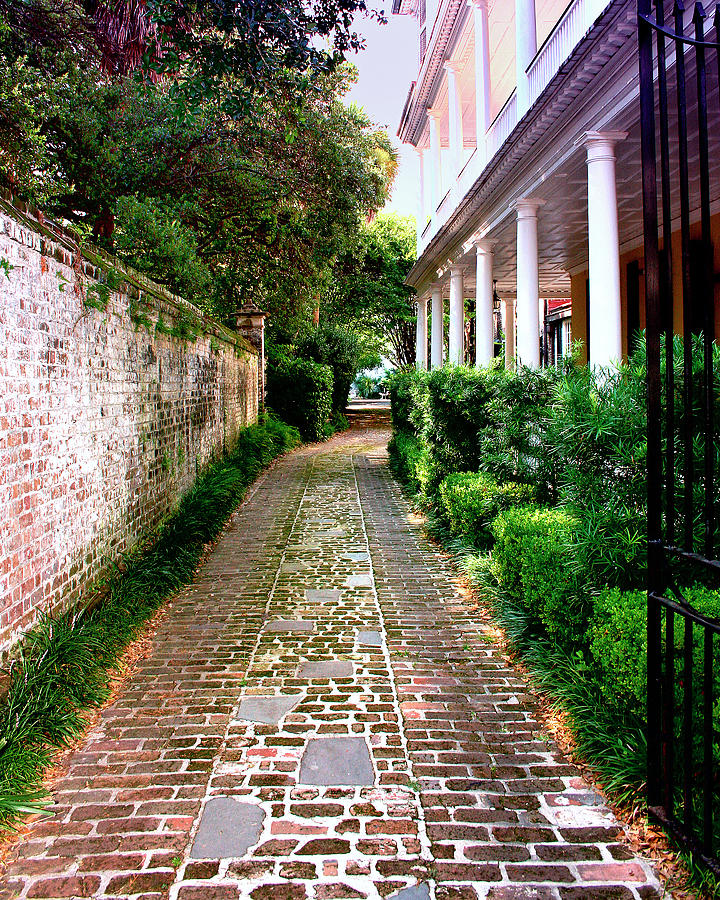 EARLY MORNING WALK Charleston SC Photograph by William Dey