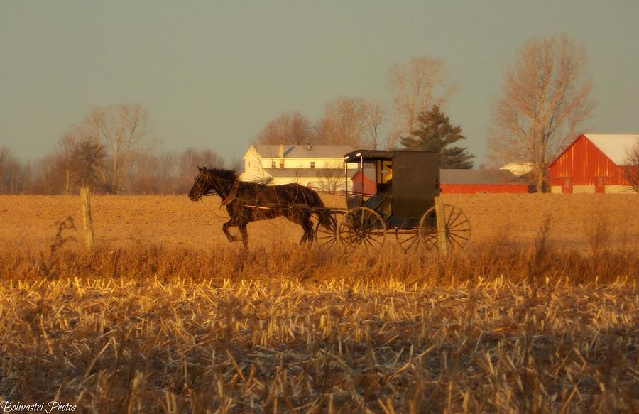 Early Morning Commute Photograph by Belinda Olivastri - Fine Art America