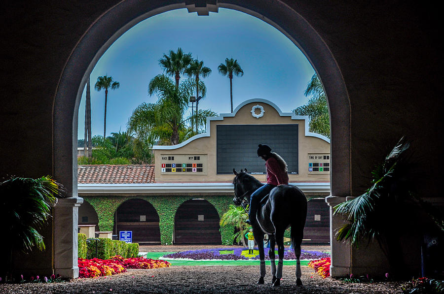 Horse Photograph - Early Morning Del Mar by Pamela Schreckengost