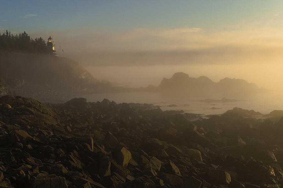 Early morning fog at Quoddy Photograph by Marty Saccone