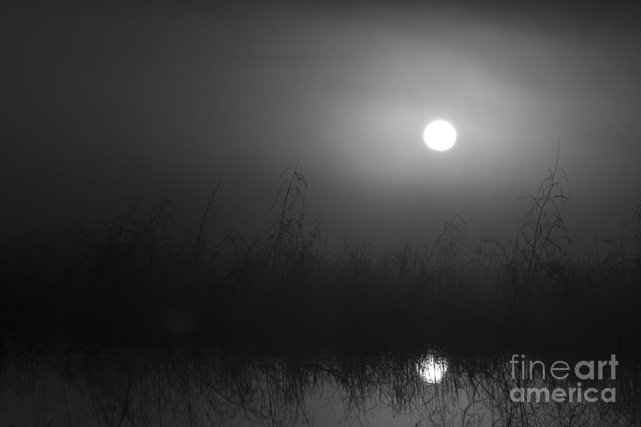 Early Morning Fog Photograph by Kelly Morvant - Fine Art America