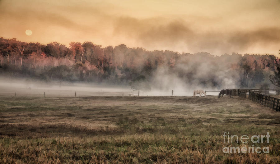 Early Morning Fog Photograph by Linda Blair