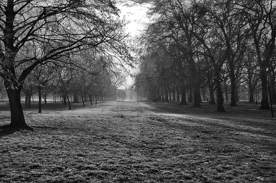 Early Morning in Hyde Park Photograph by Leah Palmer