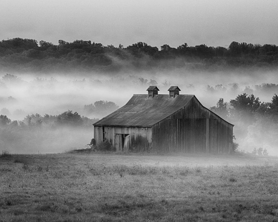 Early Morning in the Mist Standard Crop 2 Photograph by Leah Palmer