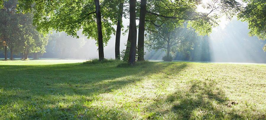 Early Morning In The Park Photograph by Kathrin Ziegler