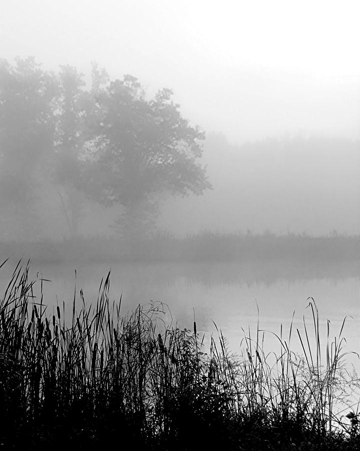 Early Morning Lake Photograph by Renee' Townsend - Fine Art America