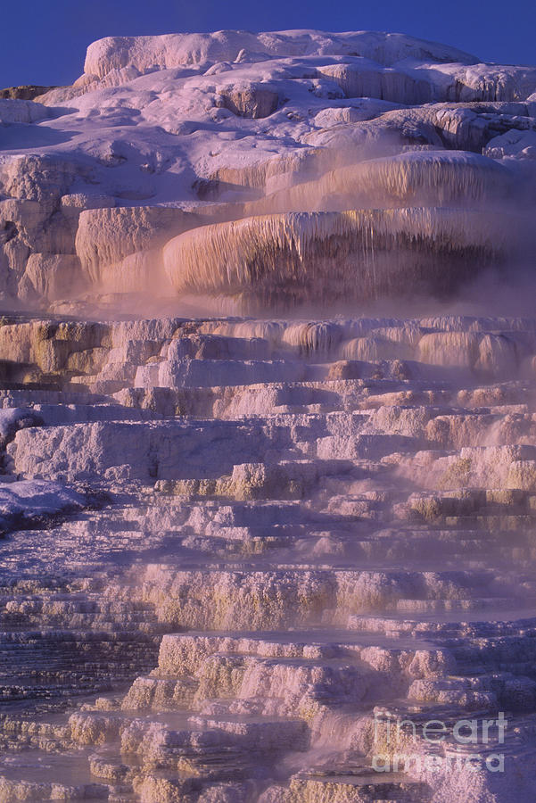 Early Morning Light on Minerva Springs Yellowstone National Park Photograph by Dave Welling
