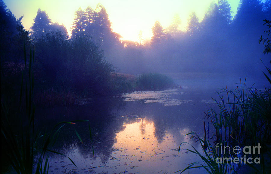 Early Morning Mist Bullfrog Pond Digital Art by Wernher Krutein