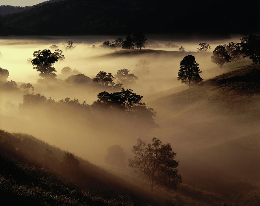 Early Morning Mist Over The Tweed Photograph by Richard Ianson