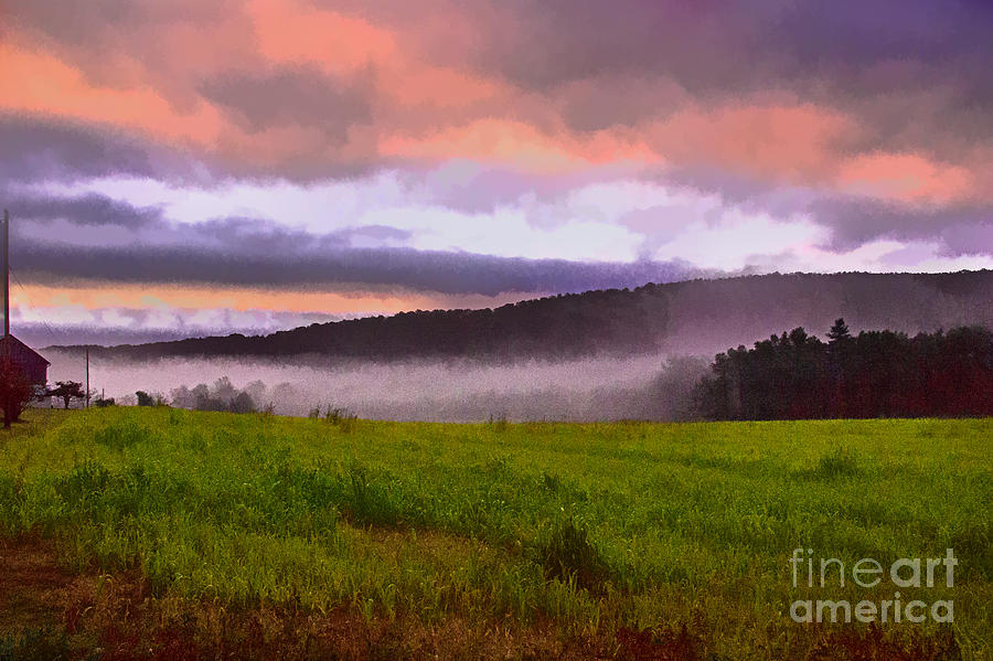 Nature Photograph - Early Morning Mist by Tom Gari Gallery-Three-Photography