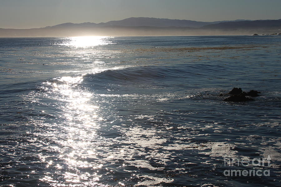 Early Morning Monterey Bay Photograph by Bev Conover