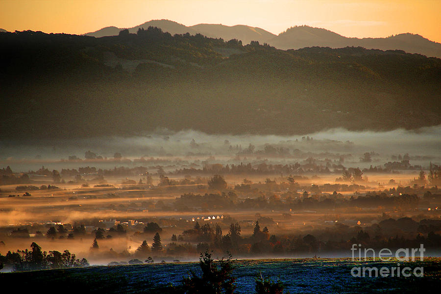 Early Morning Mysty Sun Glow over Sonoma County Photograph by Wernher Krutein