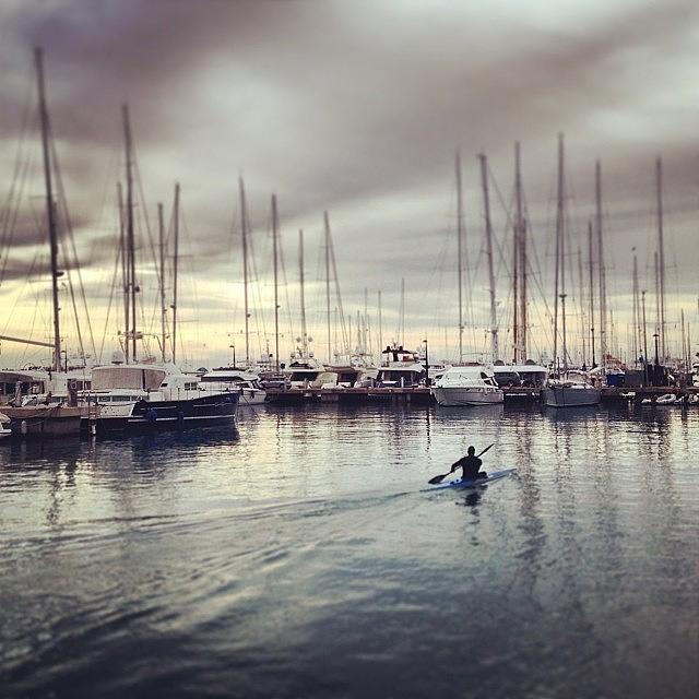 Sports Photograph - Early Morning #paddle In The #port by Balearic Discovery