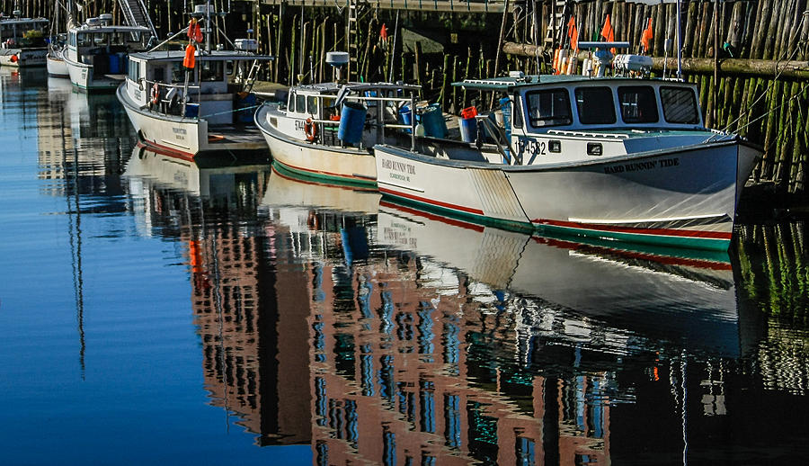 Early morning reflections Photograph by Jane Luxton