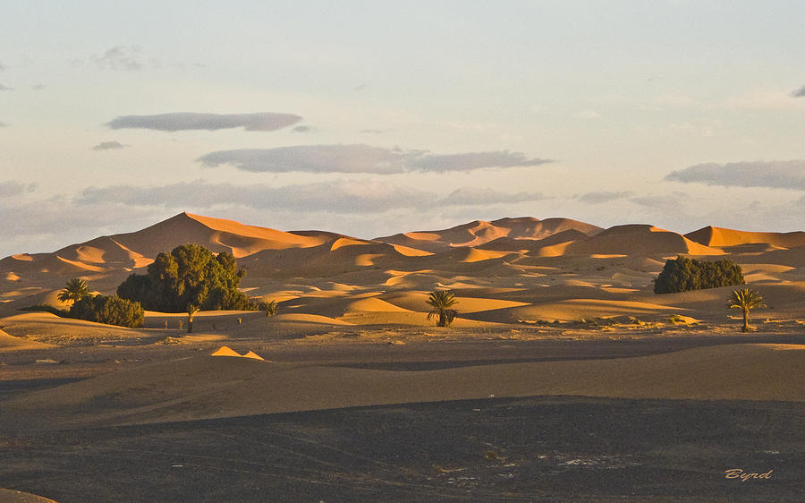 Early morning Sahara Photograph by Christopher Byrd