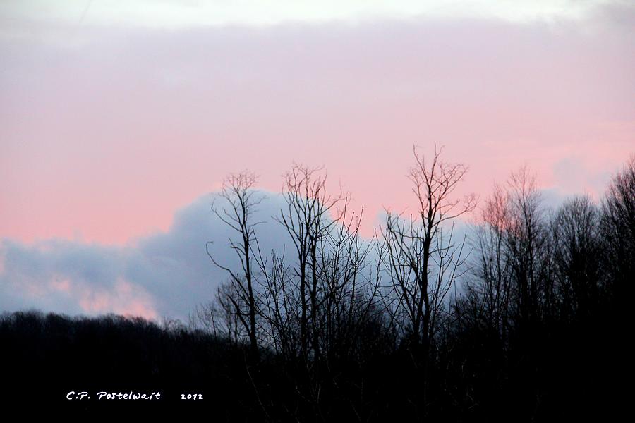 Tree Photograph - Early Morning Sky and Trees by Carolyn Postelwait