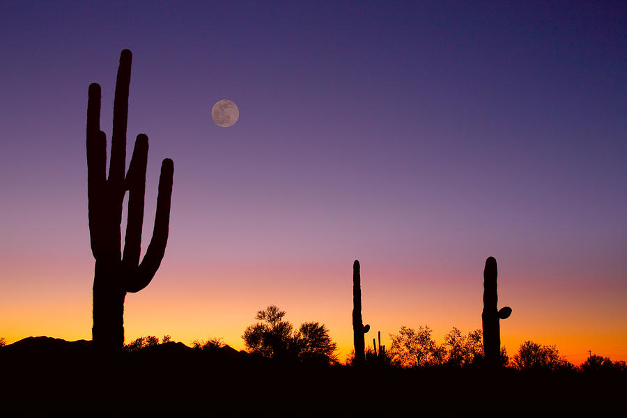 Early Morning Southwest USA Desert Moon Glow Photograph by James BO Insogna