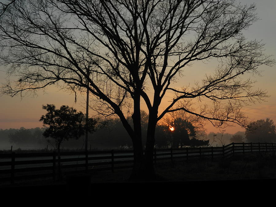 Early Morning View From The Farm Photograph by George Pedro