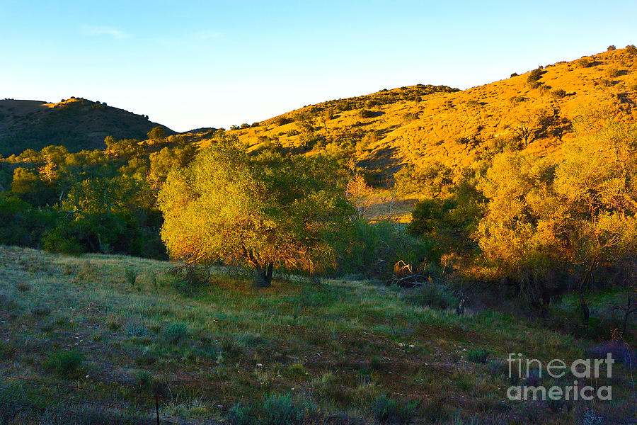 Early Morning Western Landscape Photograph by Timothy OLeary