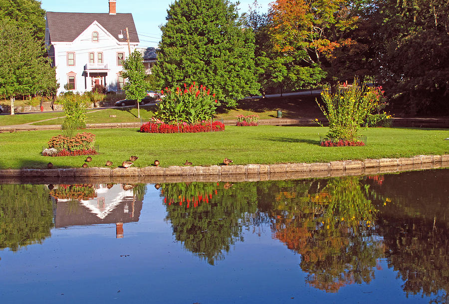 Early September Pond Reflections Photograph by Barbara McDevitt