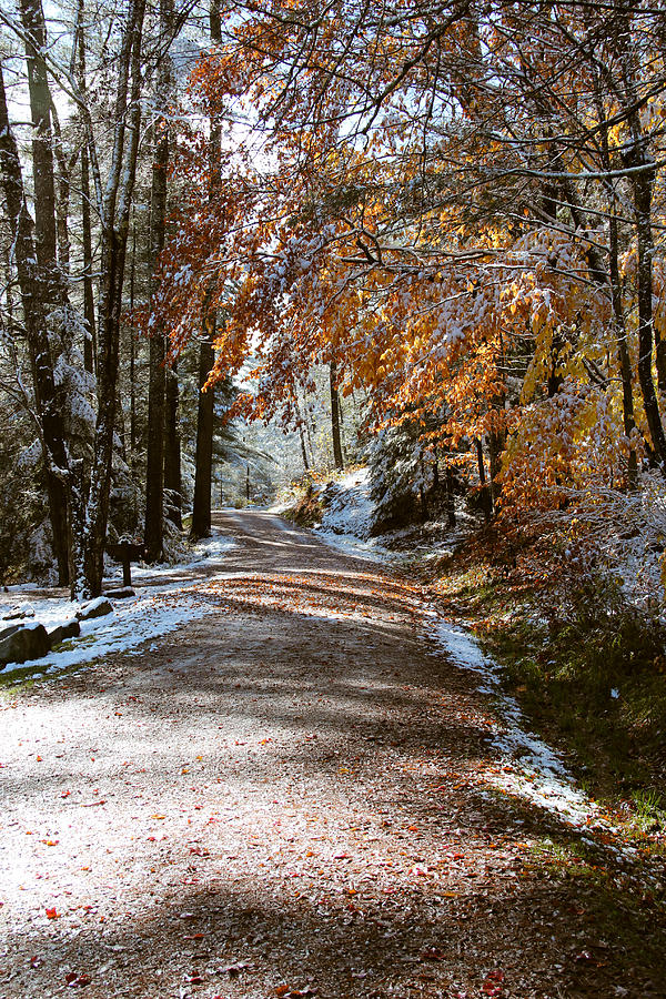 Early Snow Dusting at Lowell Lake Photograph by Vance Bell