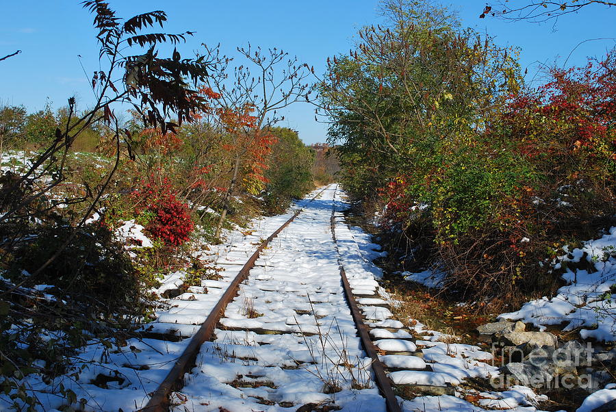 Early Snow on Railroad Tracks Photograph by Bob Sample