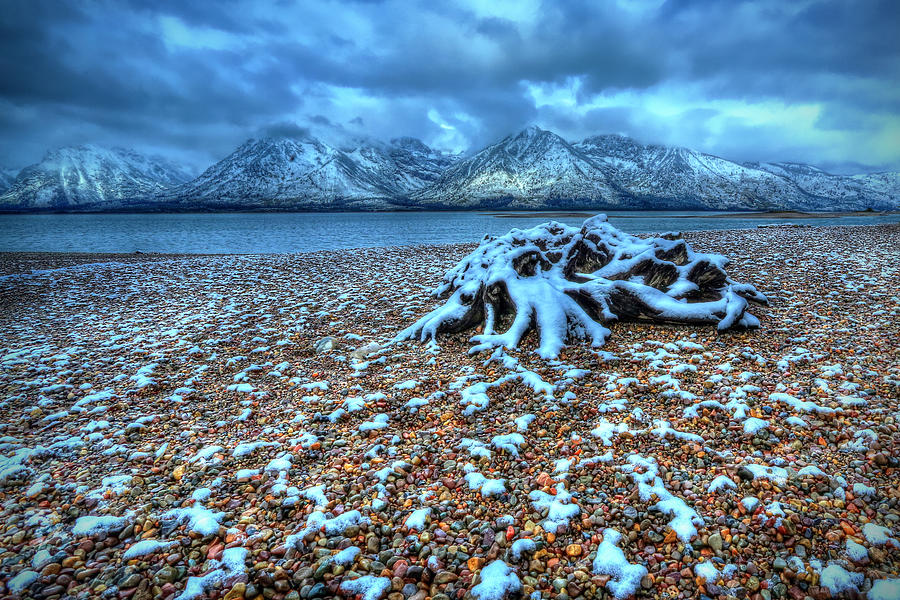 Grand Teton National Park Photograph - Early Snow on the Tetons by Jaki Miller