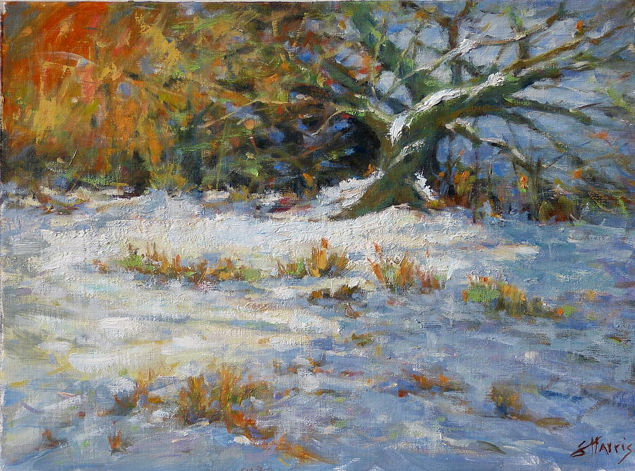 Nature Painting - Early Snow by Sandra L Harris