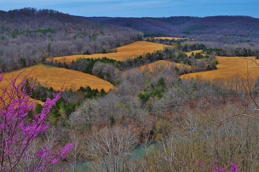 Early Spring In The Ozarks Photograph By Photos By Patty In The Country