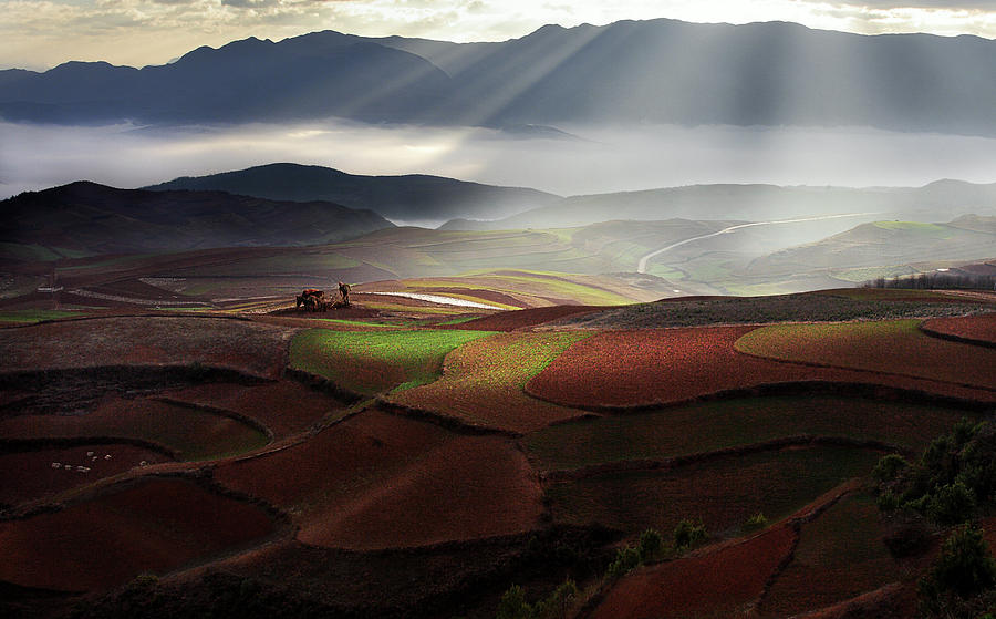 Light Rays Photograph - Early Spring On Red Land by Bj Yang