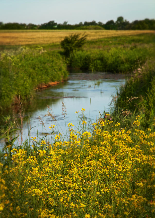 Early Summer Morning Photograph by Odd Jeppesen