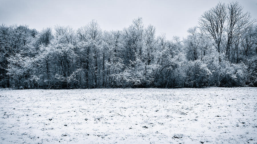 Early Winter Photograph by Bryan Bzdula
