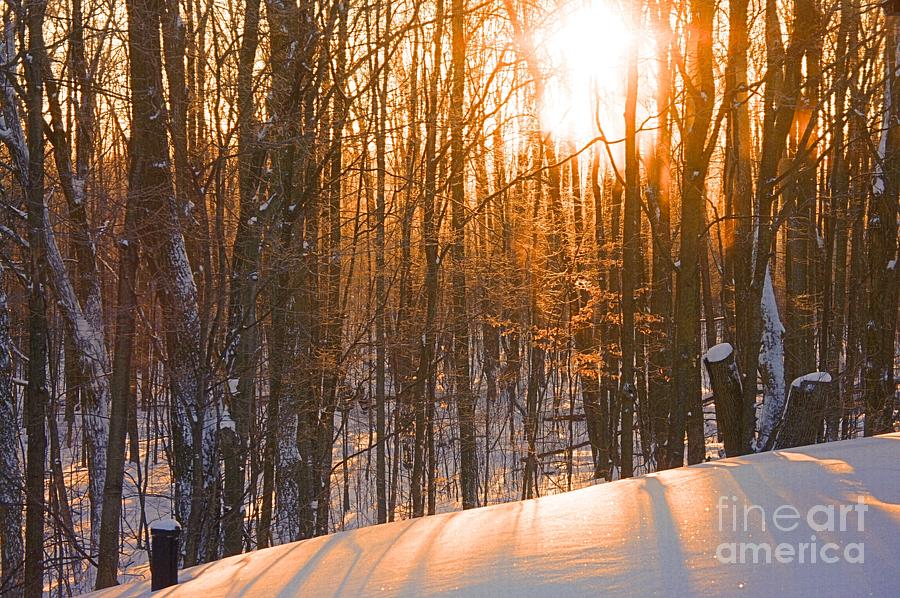 Early Winter Morning Light Photograph by Ed McDermott