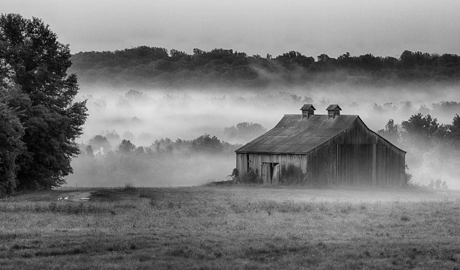 Earning Morning in the Mist Photograph by Leah Palmer