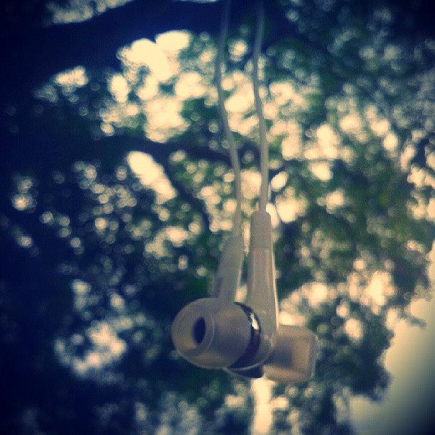 Nature Photograph - #earphones #hang #samsung #nature by Vinit Jain