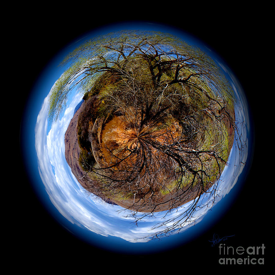 Earth Art New Mexico Photograph by Vicki Pelham