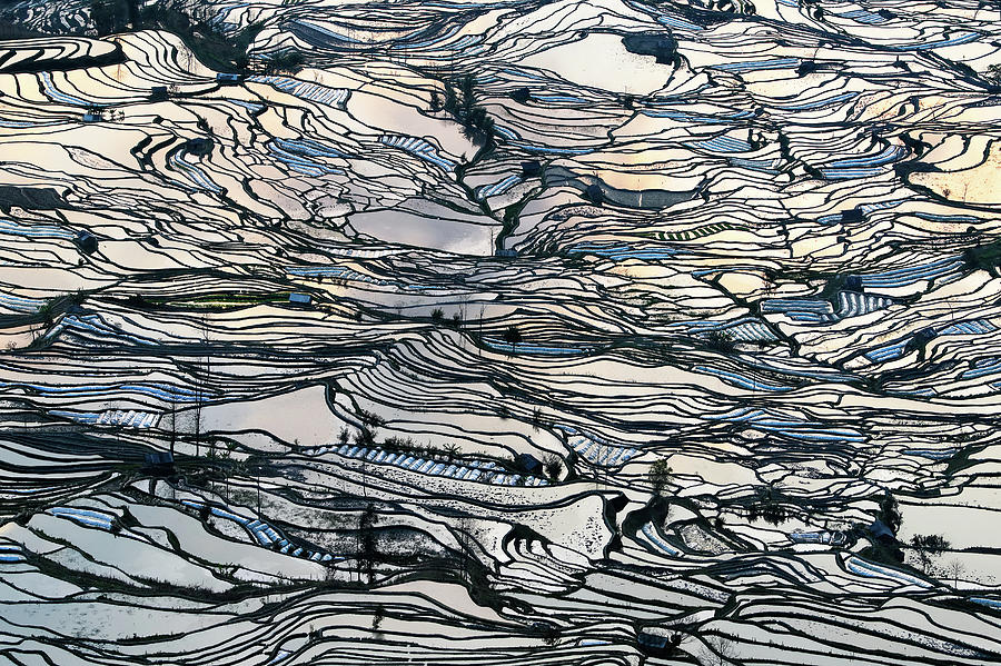 Landscape Photograph - Earth Carpet by George Doupas