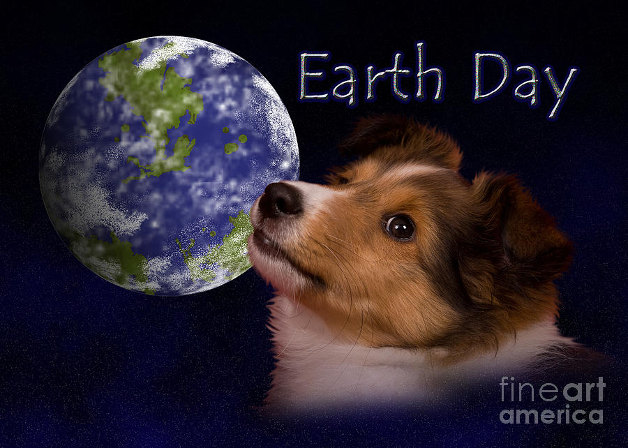 Nature Photograph - Earth Day Sheltie by Jeanette K