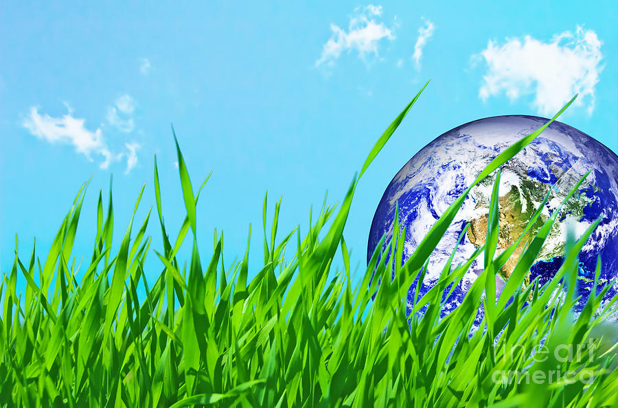 Earth globe in green grass Photograph by Michal Bednarek