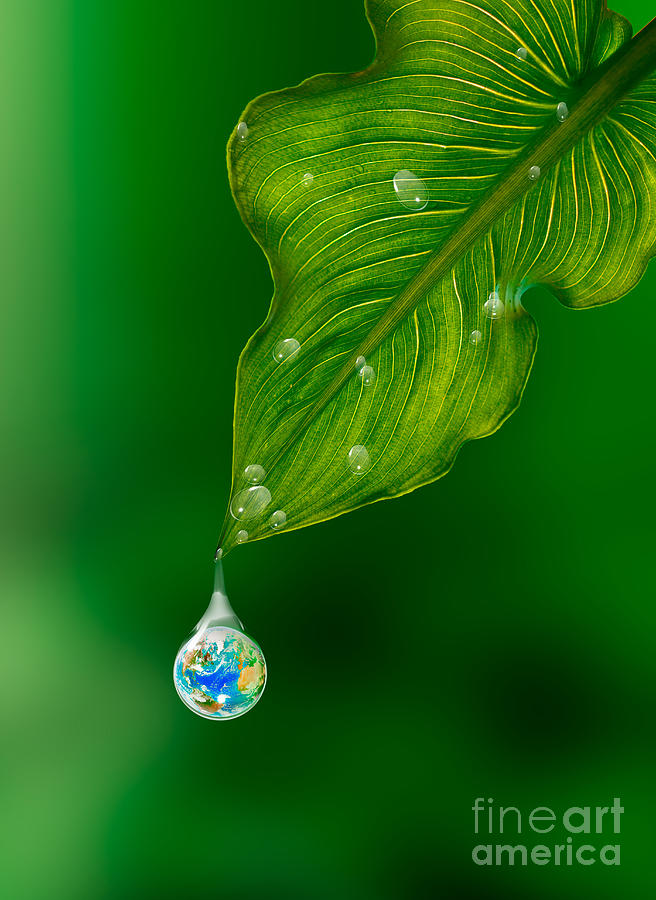 Earth In A Drop Of Water Photograph by Mike Agliolo