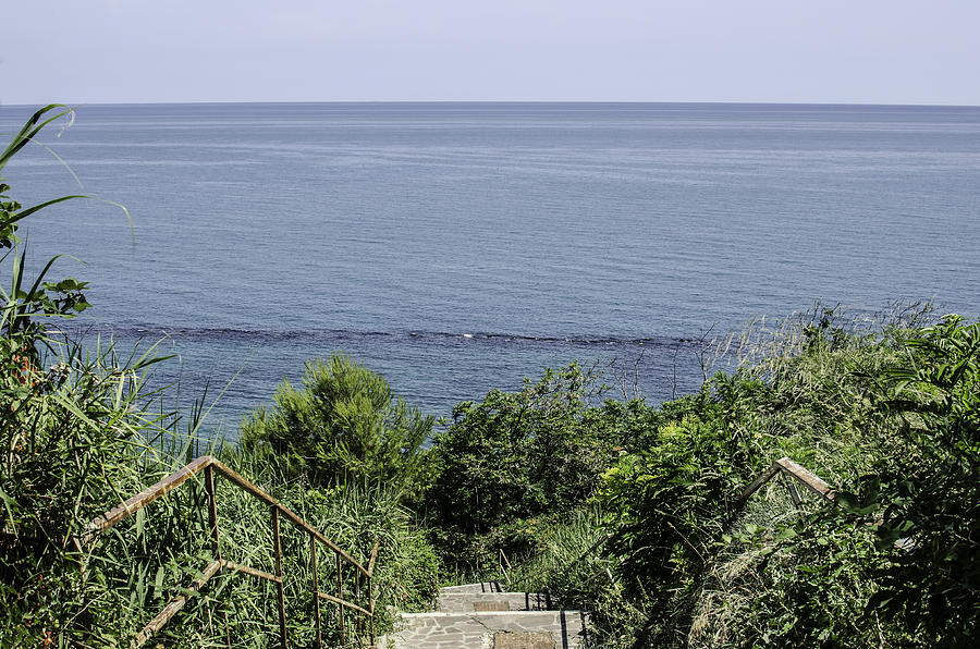 Summer Photograph - Italian landscapes - A path to the sea by AM FineArtPrints