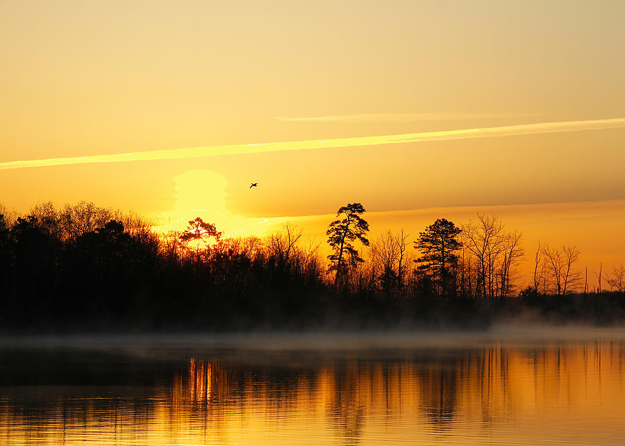 Earthday Sunrise Photograph by Roger Becker