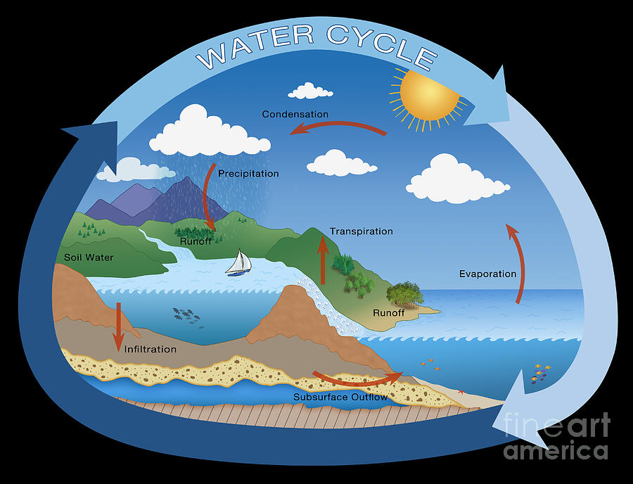 Earths Water Cycle Photograph by Monica Schroeder