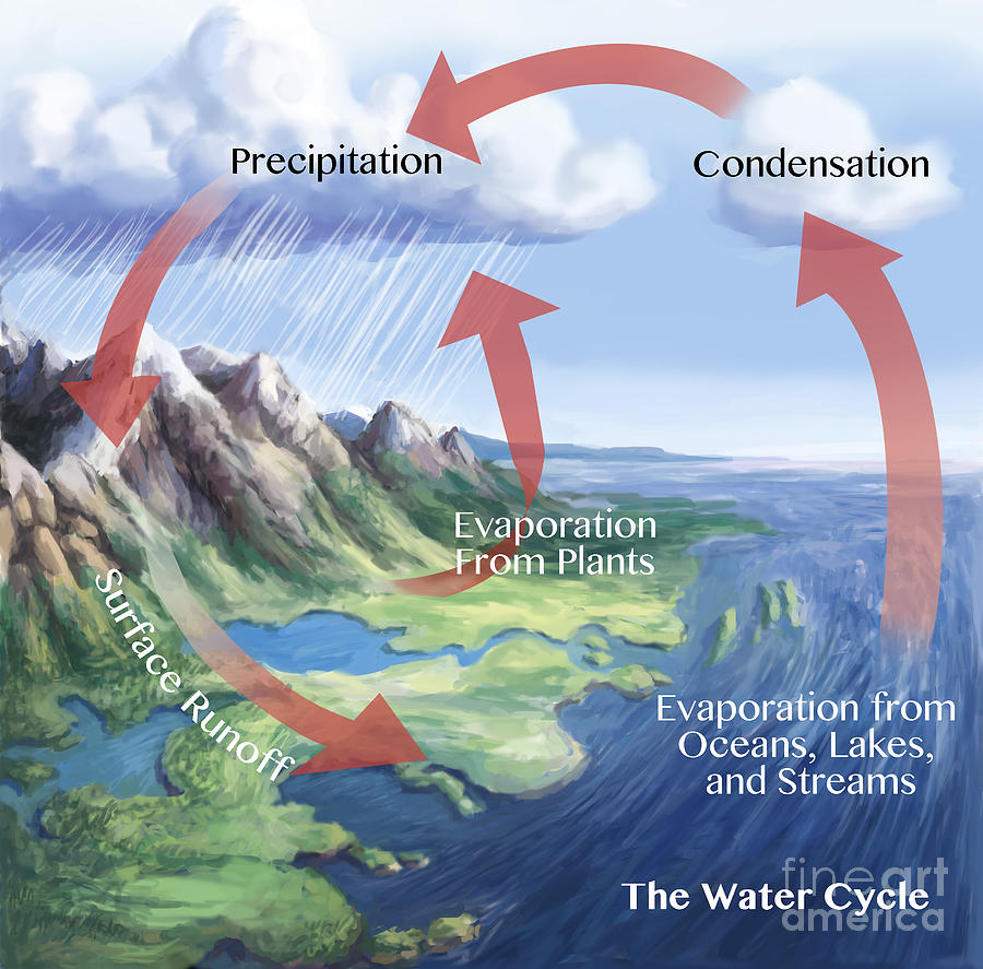 Earth Science Water Cycle