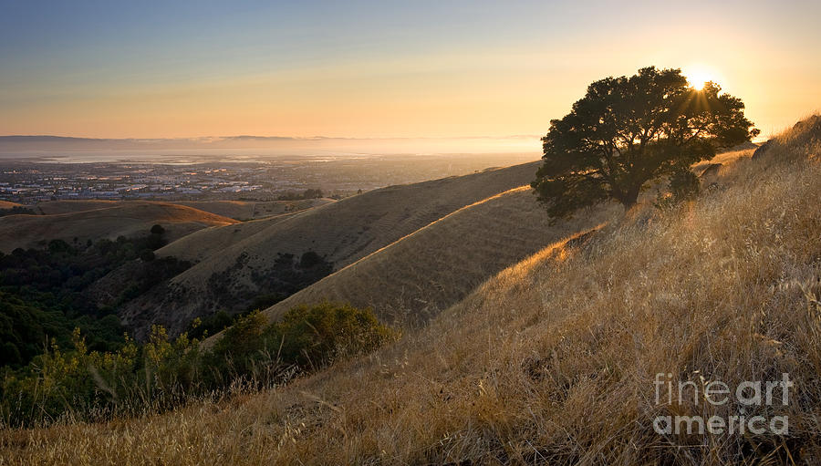 San Francisco Photograph - East Bay Hills in Summer by Matt Tilghman