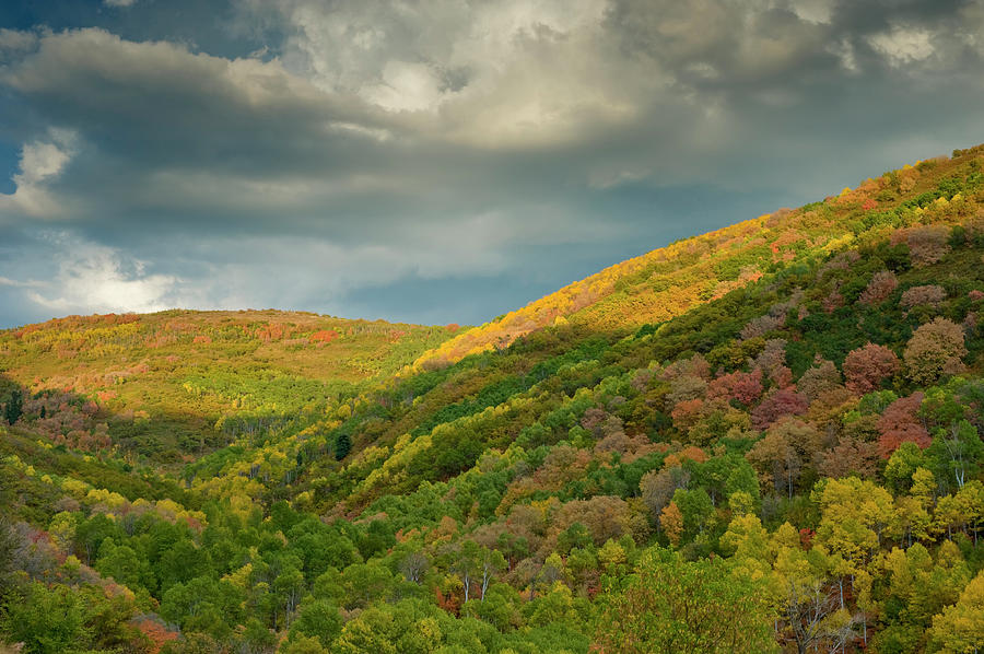 East Canyon Fall Foliage, East Canyon Photograph by Howie Garber - Fine ...