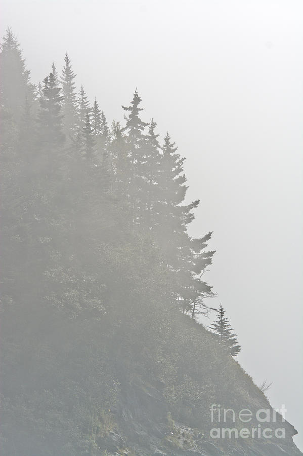 East Coast Fog Photograph by Cheryl Baxter