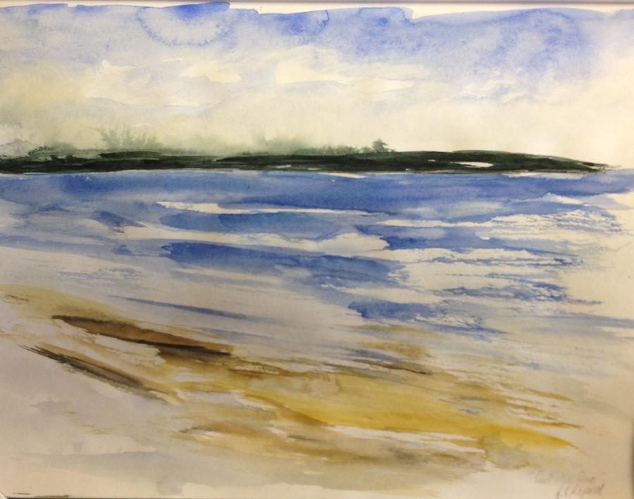 East Coast Headland Painting by Desmond Raymond