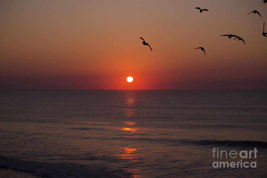 East Coast Sunrise Photograph